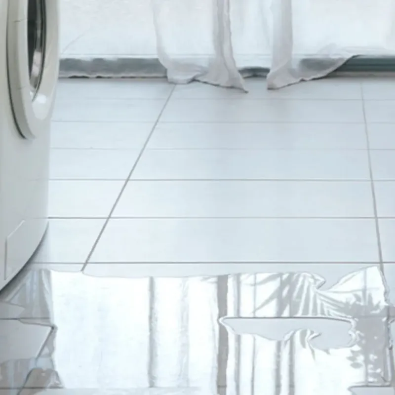 Appliance Leak Cleanup in Oatfield, OR