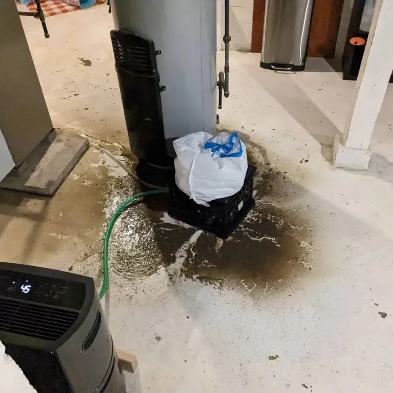 Sewage Backup Cleanup Service in Oatfield, OR